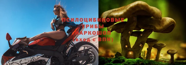 jwh Бородино