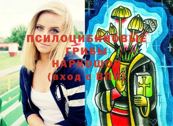 jwh Бородино