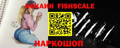 a pvp Новозыбков